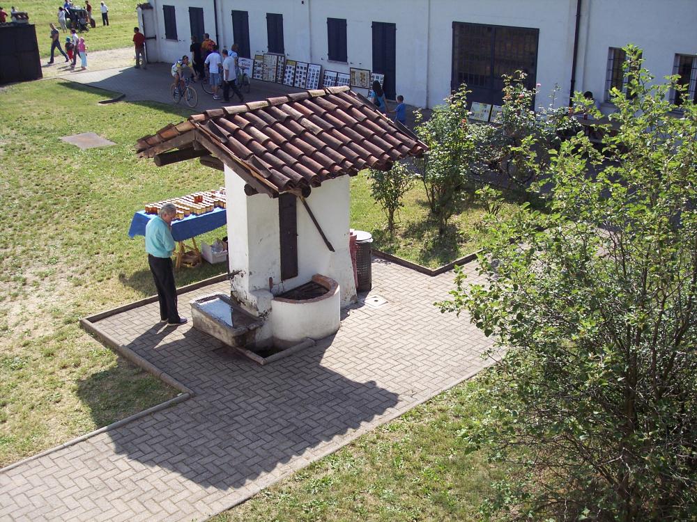 Giornata delle oasi 2007 alla ris.nat.reg.BOSCO DI VANZAGO m